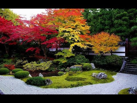 Decoración de jardin tipo japones